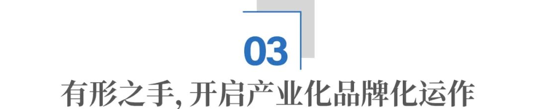 中国餐饮四大“神秘组织”，沙县小吃凭啥排第一？(图9)